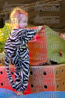 Flip-2013-071